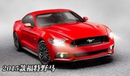 追逐野马在线观看,在线见证野马狂奔的惊心动魄